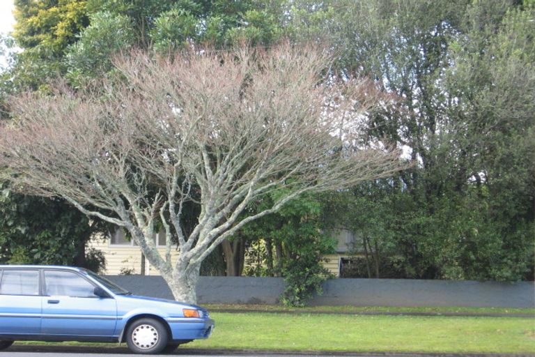 Photo of property in 142 Galloway Street, Hamilton East, Hamilton, 3216