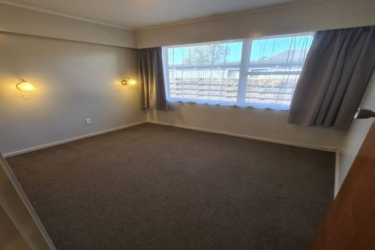 Photo of property in 133 Fitzroy Avenue, Fitzroy, Hamilton, 3206