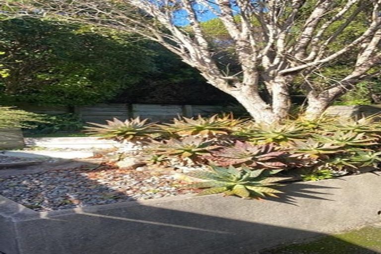 Photo of property in 180 Darlington Road, Miramar, Wellington, 6022