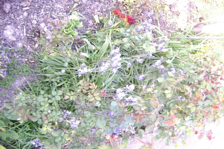 Photo of property in 66 Bronte Road East, Bronte, Upper Moutere, 7173