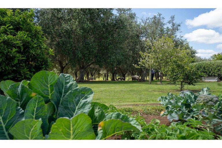 Photo of property in 11 Parkland Drive, Pakaraka, Kaikohe, 0472