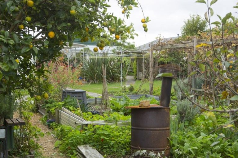 Photo of property in 79 Gordon Street, Dargaville, 0310