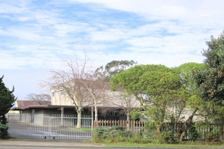 Photo of property in 44 Napier Road, Terrace End, Palmerston North, 4410