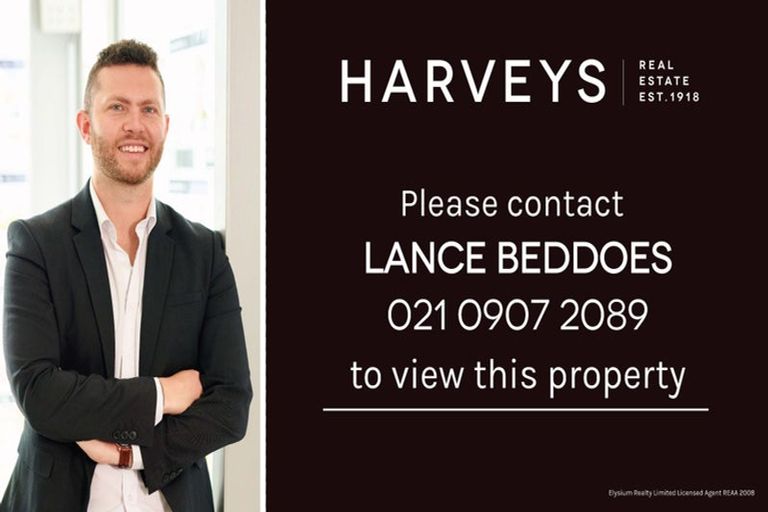 Photo of property in 19 Stephen Avenue, Henderson, Auckland, 0610