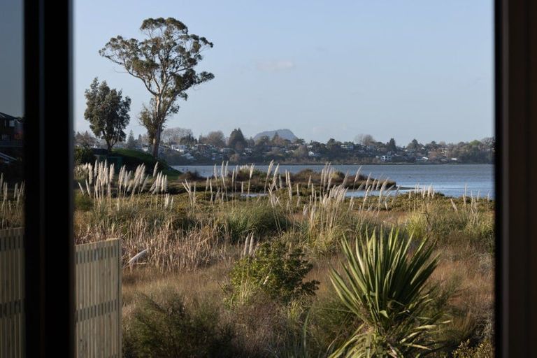 Photo of property in 31 Hinaki Street, Poike, Tauranga, 3112