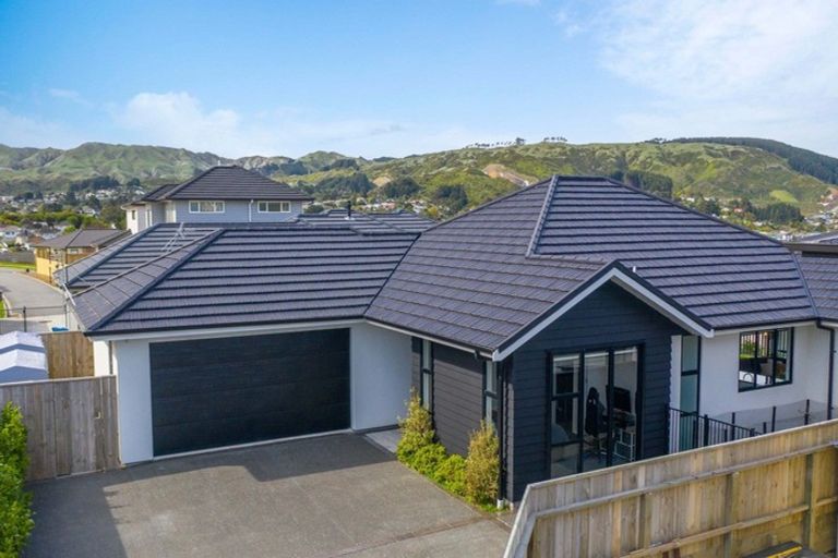 Photo of property in 111 John Burke Drive, Aotea, Porirua, 5024