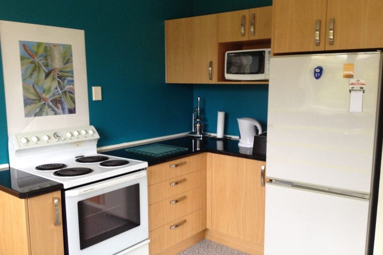 Photo of property in 57 Glendining Avenue, North East Valley, Dunedin, 9010