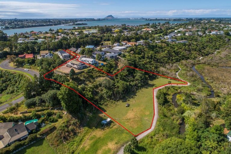 Photo of property in 48 Hammond Street, Hairini, Tauranga, 3112