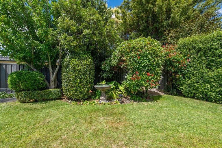 Photo of property in 103 Northwood Avenue, Mahora, Hastings, 4120