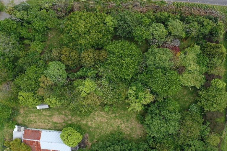 Photo of property in 69 Stanly Street, Eketahuna, 4900