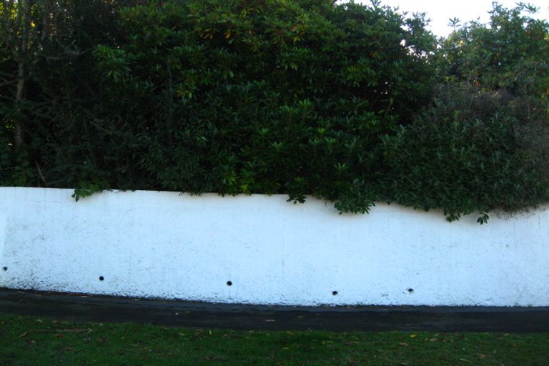 Photo of property in 45 Craighall Crescent, Wakari, Dunedin, 9010