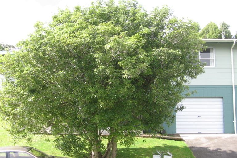 Photo of property in 61 Seymour Place, Bellevue, Tauranga, 3110