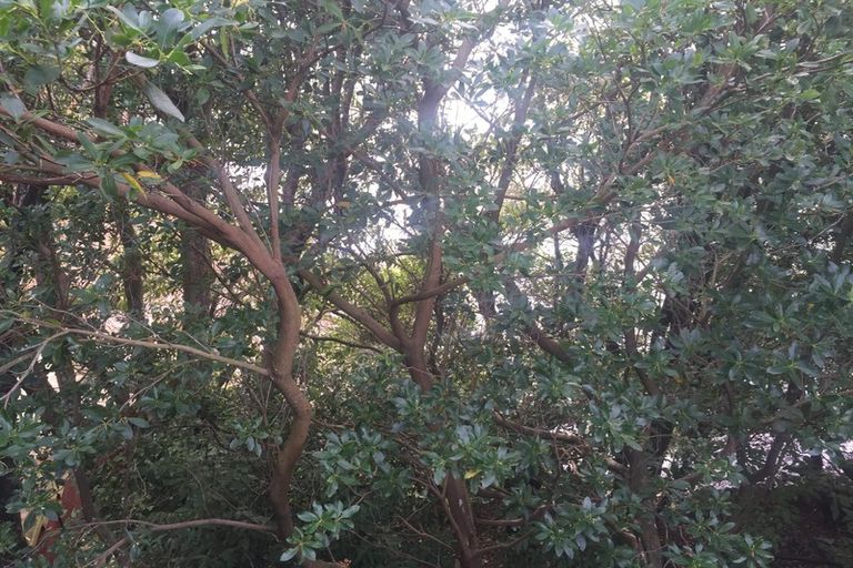 Photo of property in 38 Clyde Street, Roseneath, Port Chalmers, 9023