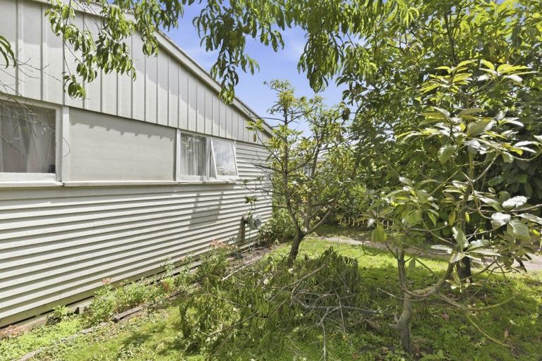 Photo of property in 6 Awatea Street, Levin, 5510