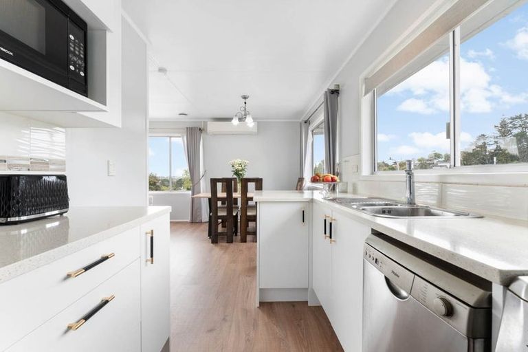 Photo of property in 52 Ayton Drive, Totara Vale, Auckland, 0629