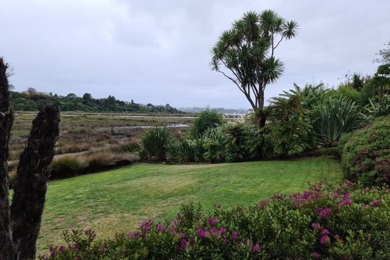 Photo of property in 7 College Place, Poike, Tauranga, 3112