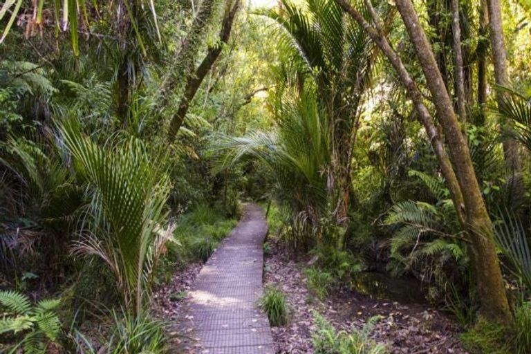 Photo of property in 3 Awanui Street, Birkenhead, Auckland, 0626