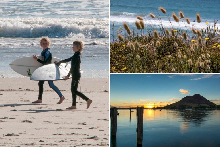 Photo of property in 219/36 Victoria Road, Mount Maunganui, 3116