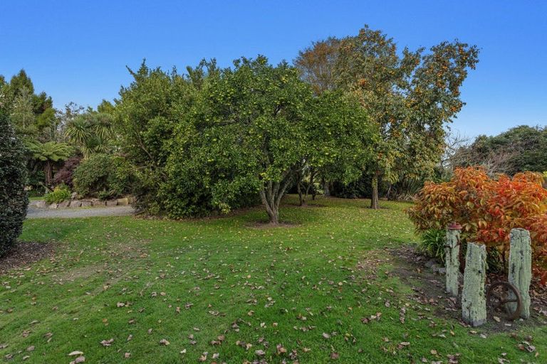 Photo of property in 51 Tahuna Road, Te Teko, 3192