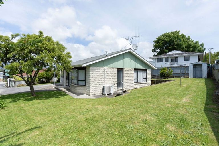 Photo of property in 125 Winchester Street, Levin, 5510