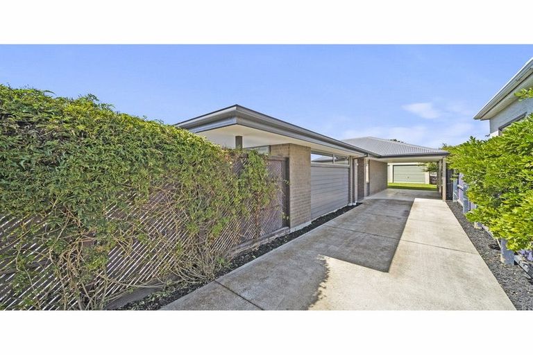 Photo of property in 40 Dunn Street, Somerfield, Christchurch, 8024