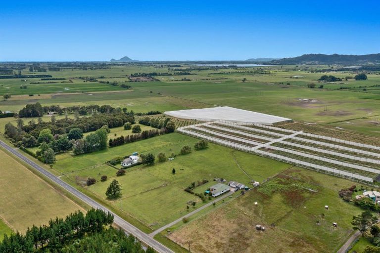 Photo of property in 493 Grieve Road, Te Teko, Whakatane, 3193