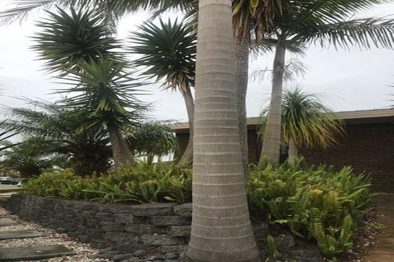 Photo of property in 6 Jim Rhind Place, Pahurehure, Papakura, 2113