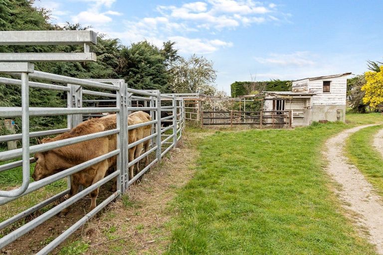 Photo of property in 102 Levels Plain Road, Levels, Timaru, 7975