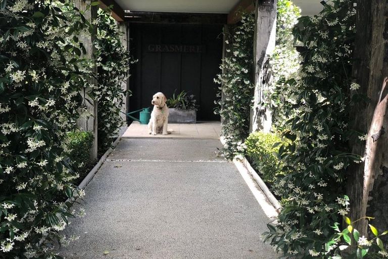 Photo of property in 9 Oak Lane, Coatesville, 0793