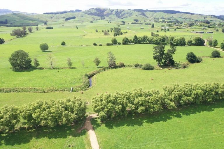 Photo of property in 231 Grice Road, Rotoorangi, Cambridge, 3495