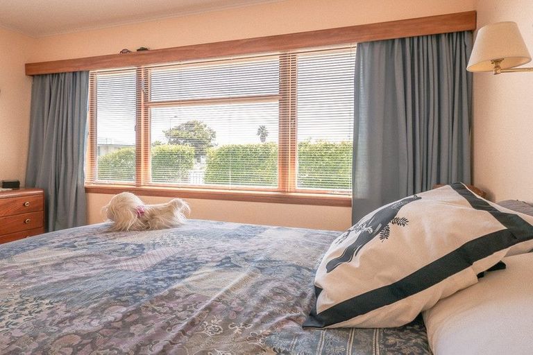 Photo of property in 31 Lindsey Crescent, Springvale, Whanganui, 4501