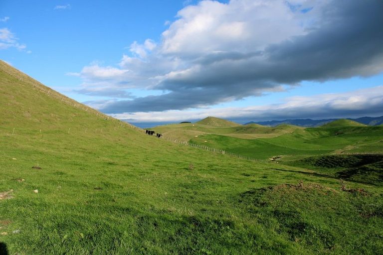 Photo of property in 38 Rule Road, Dannevirke, 4930