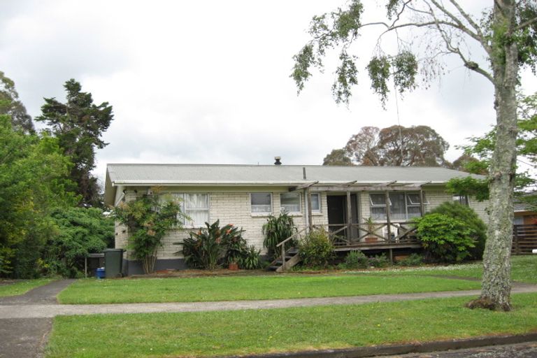 Photo of property in 29 Moloney Terrace, Pukekohe, 2120