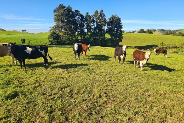 Photo of property in 801 Mangorei Road, Mangorei, New Plymouth, 4371