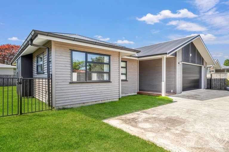 Photo of property in 12a Fairfield Road, Levin, 5510
