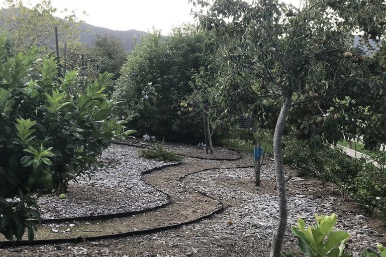 Photo of property in 497 Orini Road, Orini, Taupiri, 3792