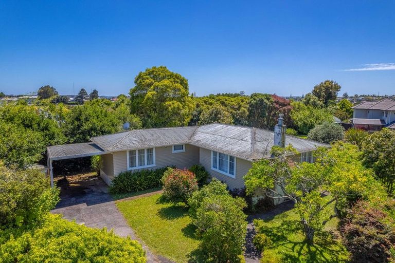 Photo of property in 68 Buscomb Avenue, Henderson, Auckland, 0610