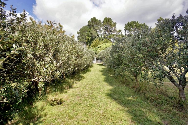 Photo of property in 480 Rangiuru Road, Rangiuru, Te Puke, 3188