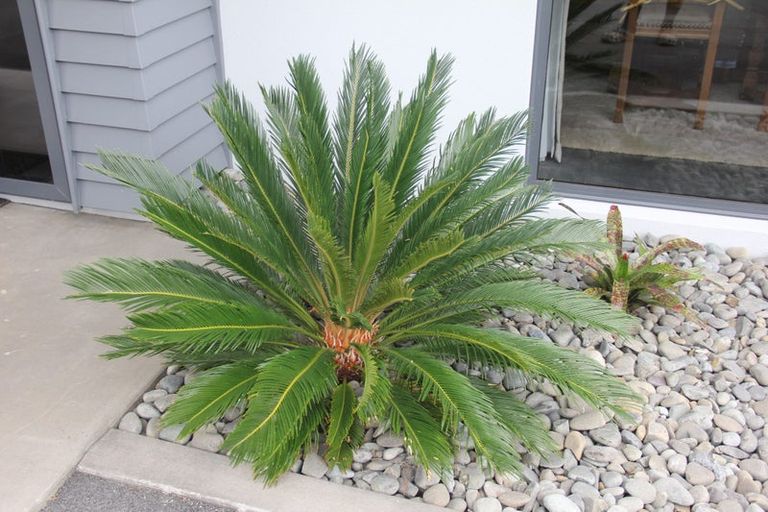 Photo of property in 905 Upper Ohauiti Road, Ohauiti, Tauranga, 3173