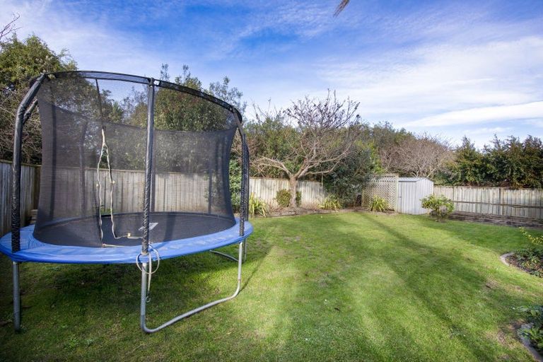 Photo of property in 19 Bucksburn Place, Greenmeadows, Napier, 4112