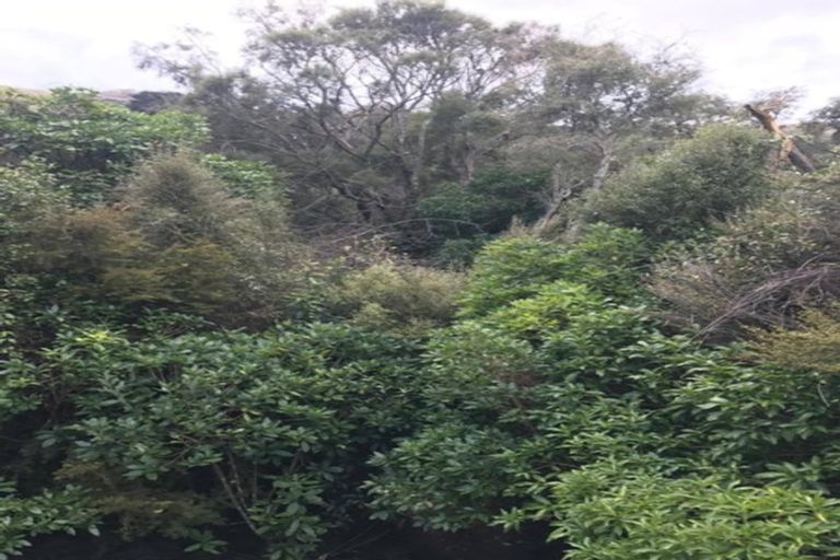 Photo of property in 145 Wainui Valley Road, Wainui, French Farm, 7582