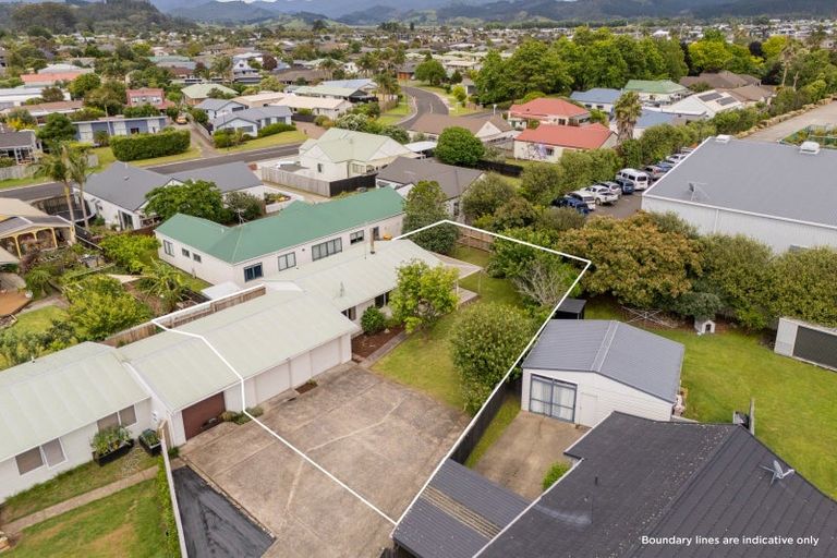 Photo of property in 8 Joan Gaskell Drive, Whitianga, 3510
