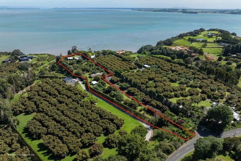 Photo of property in 311 Pahoia Road, Whakamarama, Tauranga, 3172