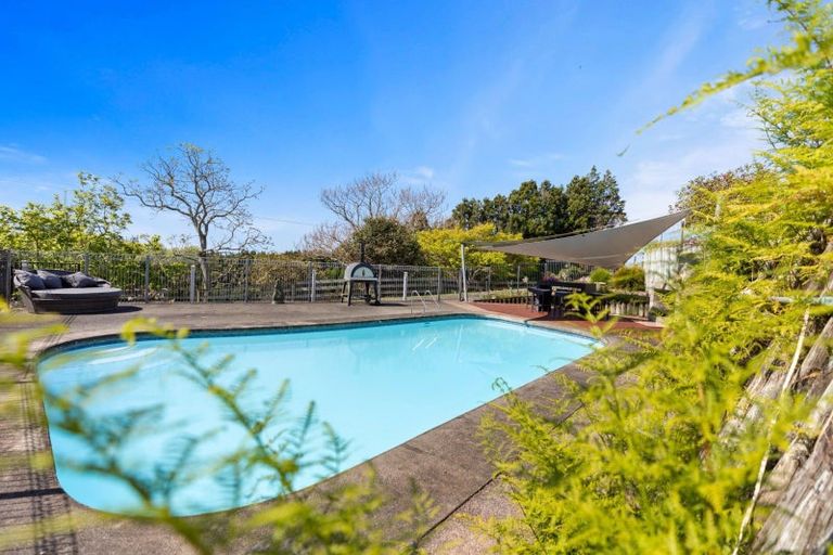 Photo of property in 213 Kauri Point Road, Tahawai, Katikati, 3170