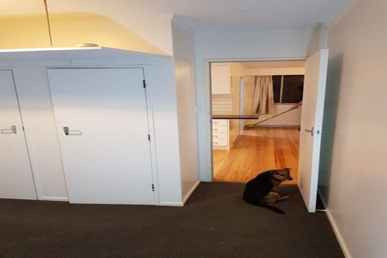 Photo of property in 5 Derby Street, Gisborne, 4010