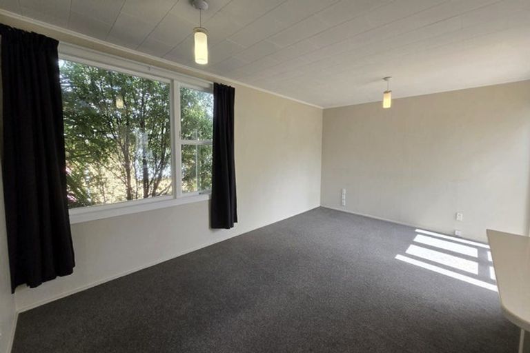 Photo of property in 24 Orr Crescent, Hutt Central, Lower Hutt, 5011