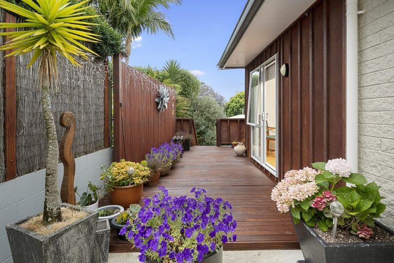 Photo of property in 59 Sixth Avenue, Tauranga, 3110