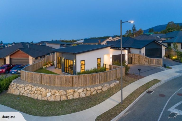 Photo of property in 1 Fallow Place, Richmond, 7020