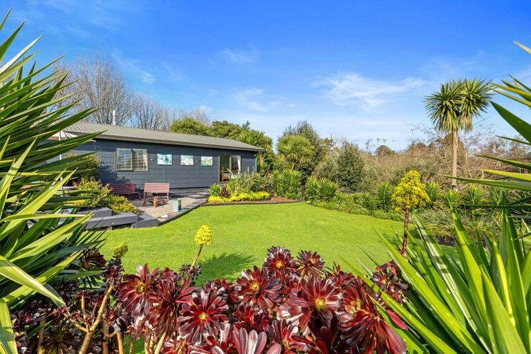 Photo of property in 554 Rangiuru Road, Rangiuru, Te Puke, 3188