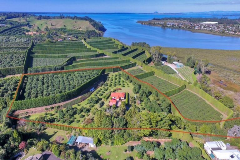 Photo of property in 11b Stokes Road, Tahawai, Katikati, 3170